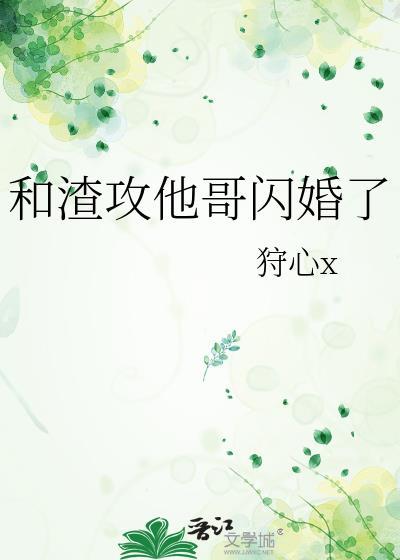 和渣攻他哥闪婚了