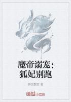 魔帝溺宠：狐妃别跑